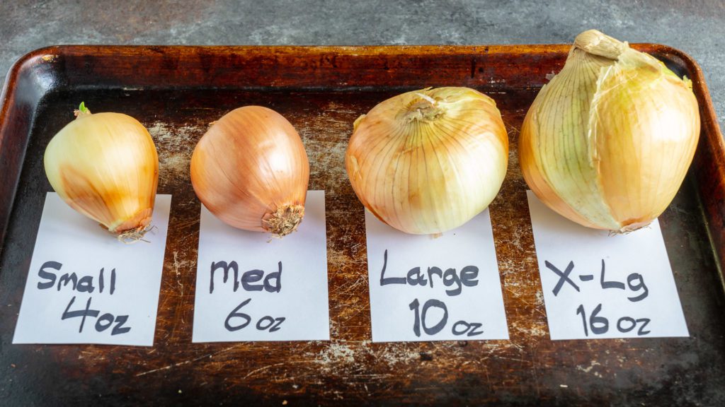 Onion Sizes